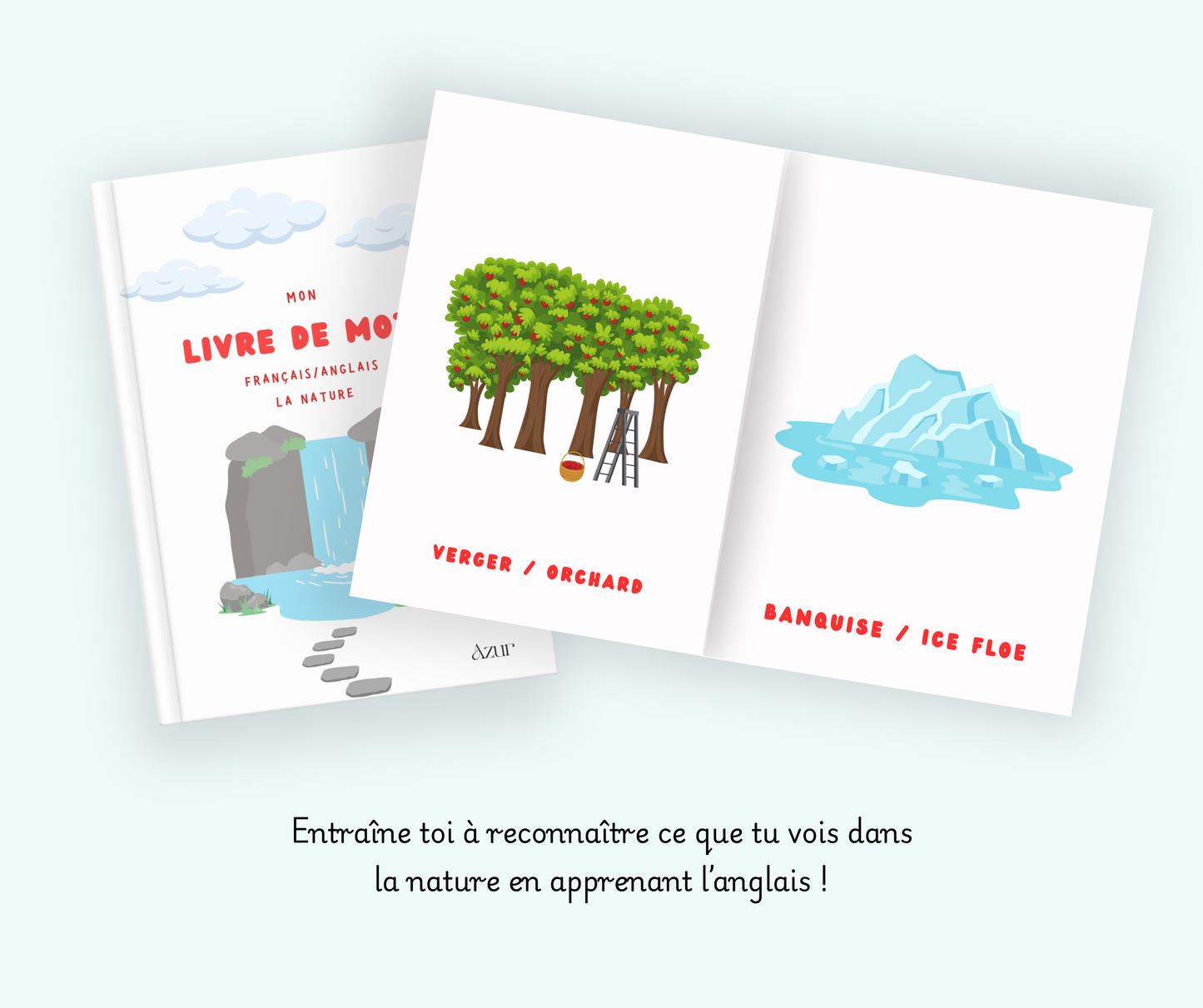 Livre de mots français/anglais - La nature